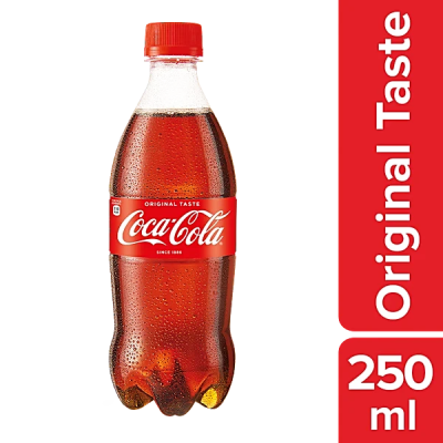 Coca-Cola Soft Drink (250 ml)